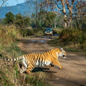 Jim Corbett Tour Packages